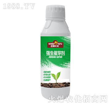 ������ѿ��-�~���~��