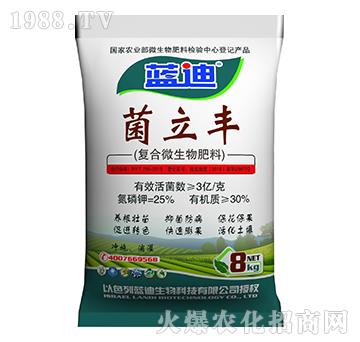 ��(f��)��΢�������-�����S-�֠���