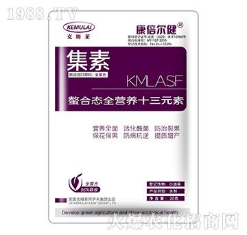 ���ϑB(t��i)ȫ�I(y��ng)�B(y��ng)ʮ��Ԫ�أ�����-����-��������-��ķ�R