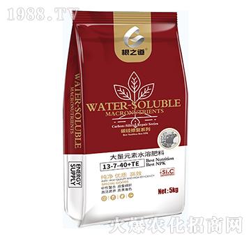 ����Ԫ��ˮ�ܷ���13-7-40+TE-��֮��