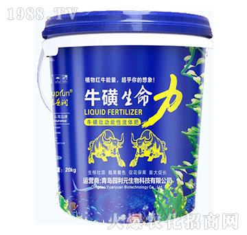 ����������-�@��Ԫ