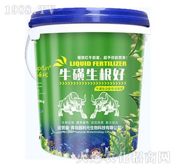 ����������-�@��Ԫ