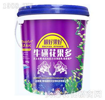 ���ǻ�����-�@��Ԫ