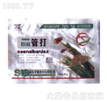 ��ʭ�ܴ�-ʥ�i