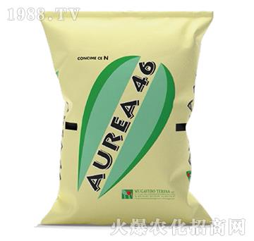 ��٤�_-��ጵ���N46-��ʢ����