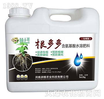 ��������ˮ�ܷ�-�����-��ֲ