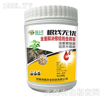 �����o�n-��ֲ