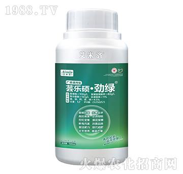 �V�Vͨ�����|��(l��)�T���žG-������