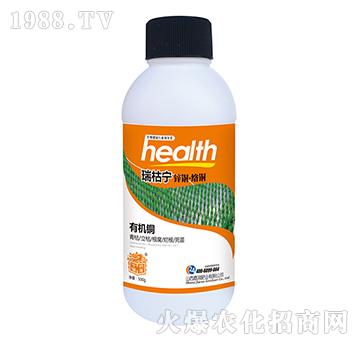 ��݌�-�Ν�(r��n)�ʘI(y��)