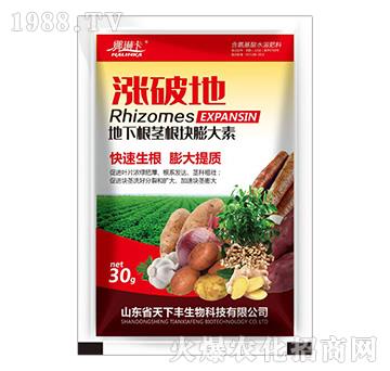 ���¸��o���K�����-�q�Ƶ�-�����S