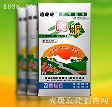 �pø����-�S���r�I(y��)