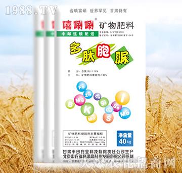 �V�����-���İ���-����-�S���r�I(y��)