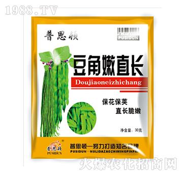 豆角嫰直長(zhǎng)-普思頓農(nóng)業(yè)