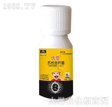 �K�ؽ�U��-����-����