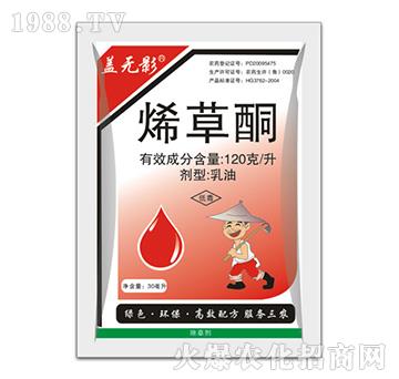 120��ÿ��ϩ��ͪ-�w�o(w��)Ӱ-�ݵ�˹