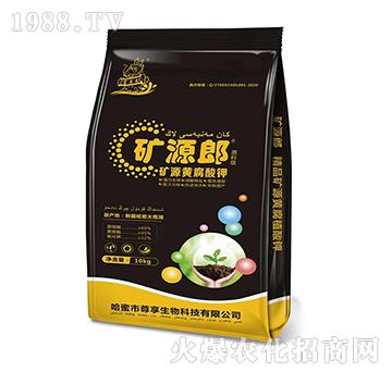 �VԴ�S�������΢�������-�VԴ��-��������