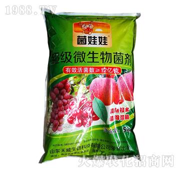 �������-������-��������