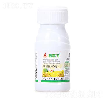 45%ɯ����-�����w-ϲ�S��