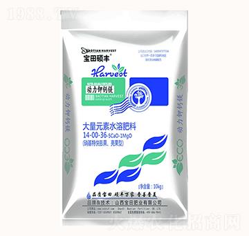 ����Ԫ��ˮ�ܷ���14-00-36-5Ca0-1MgO-������}�V-����ʘI(y��)