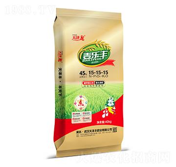 �ͺϷ���15-15-15-�����S-�����