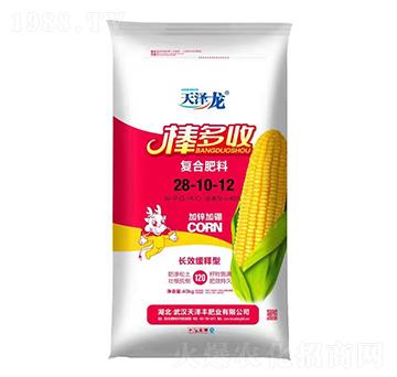 �LЧ����͏�(f��)�Ϸ���28-10-12-������-�����