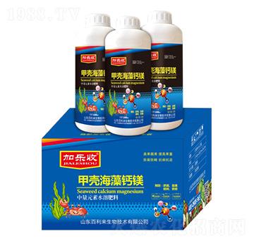 �ך������}�V-�Ә���-������