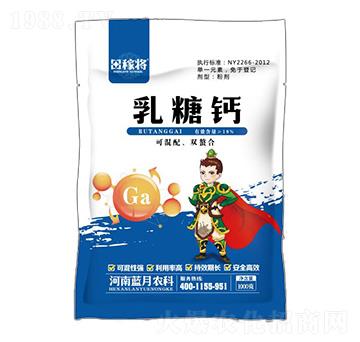 �����}-��ڌ�-�{���r��