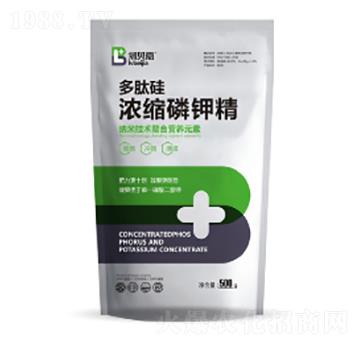 ���Ĺ��s��⛾�-���_