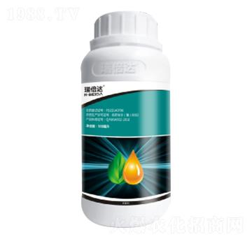 80��������-���_