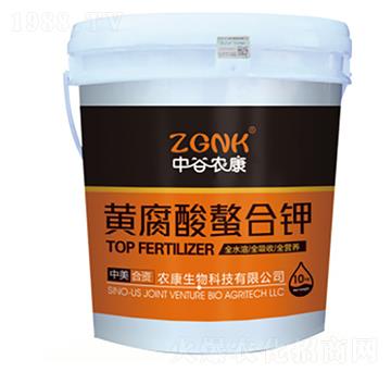 �S���������-�r���r�I(y��)