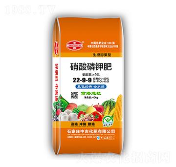 ������⛷�22-9-9-�м�����