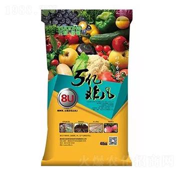 5�|�Ƿ�-Ԫ���r(n��ng)�I(y��)