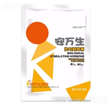 ����̼���-���f��-�������