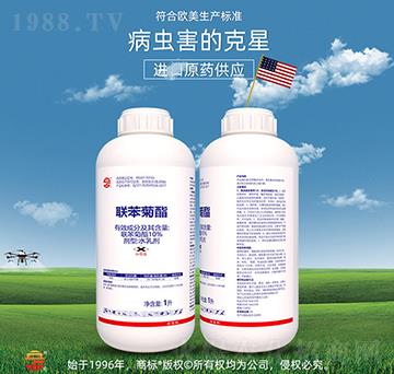 10%������-��ռ�r�Y