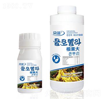 �������~���-����-���Վ�����