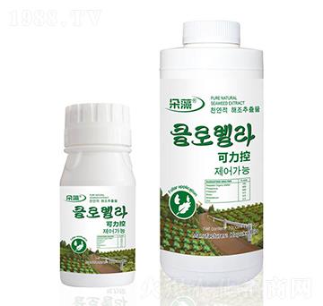 �������~���-����-���Վ�����