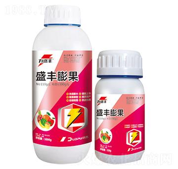 ʢ�S���-����