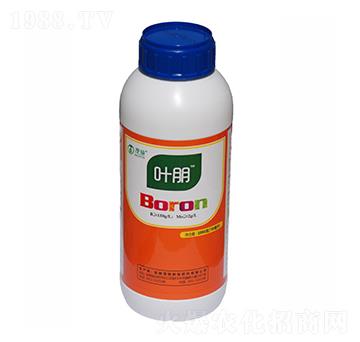 �ЙC(j��)���-�~��-ïʩ��