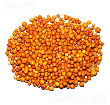 ����n�w����ጷ�15-