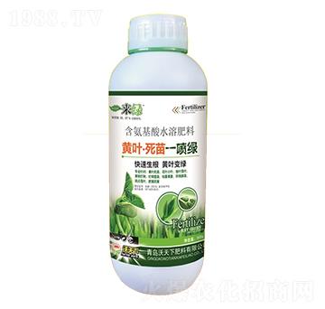 �S�~����һ���G-���G-������