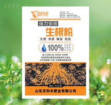 ������-�ٿ��S