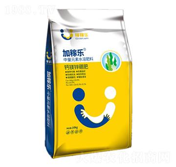 �}�V���\��-�ڼژ�