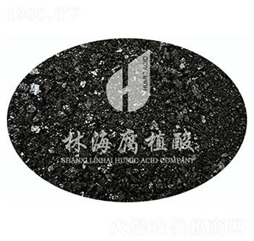 �S�����-�ֺ���ֲ��