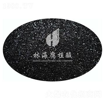 �S�С�w��-�ֺ���ֲ��