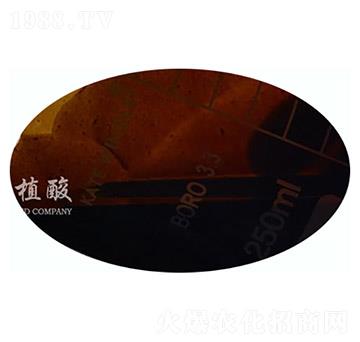 �S�ĸҺ-�ֺ���ֲ��