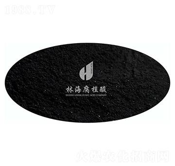 ���Ƹ�ֲ��-�ֺ���ֲ��