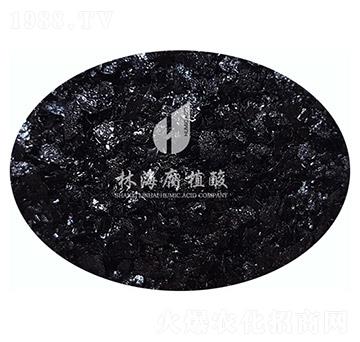 ��ˮ�ܸ�ֲ���-�ֺ���ֲ��