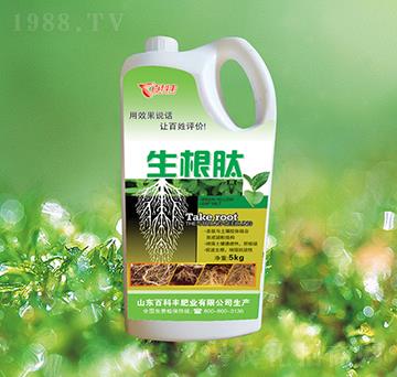 ������-�ٿ��S