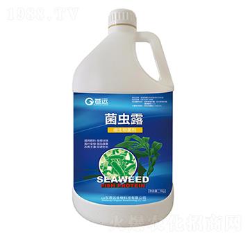 ���x¶-�n�h(yu��n)����