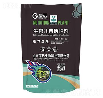 ����������Ԅ�-�n�h����